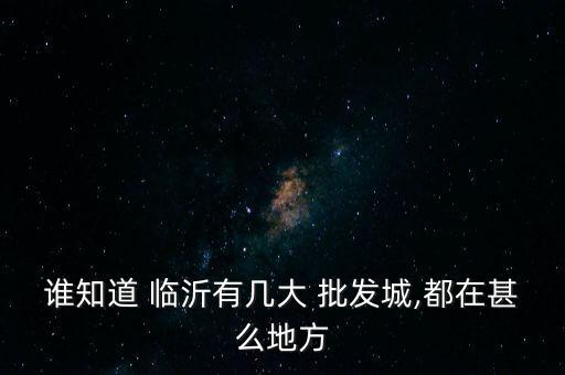 誰(shuí)知道 臨沂有幾大 批發(fā)城,都在甚么地方