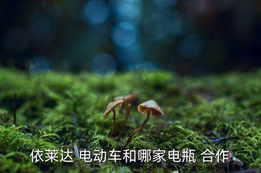 依萊達(dá) 電動(dòng)車(chē)和哪家電瓶 合作