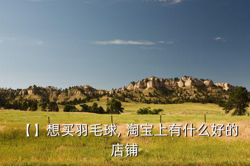 【】想買羽毛球, 淘寶上有什么好的店鋪
