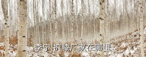 李寧 護膝廠家在哪里