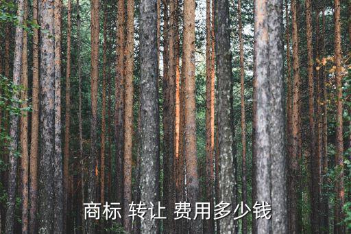  商標 轉(zhuǎn)讓 費用多少錢
