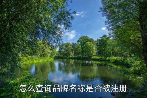 怎么查名字有沒有被注冊商標(biāo),中國最大的商標(biāo)轉(zhuǎn)讓平臺(tái)