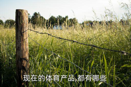 現在的體育產品,都有哪些