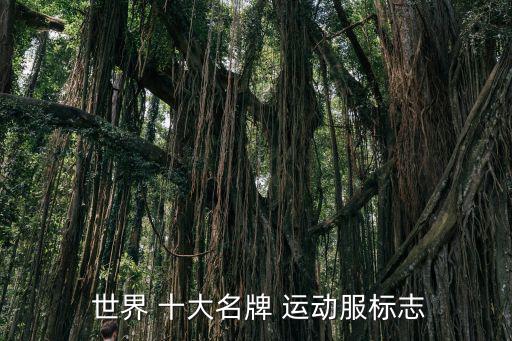 世界十大頂級奢侈運(yùn)動品牌,運(yùn)動鞋十大名牌鞋子排名榜