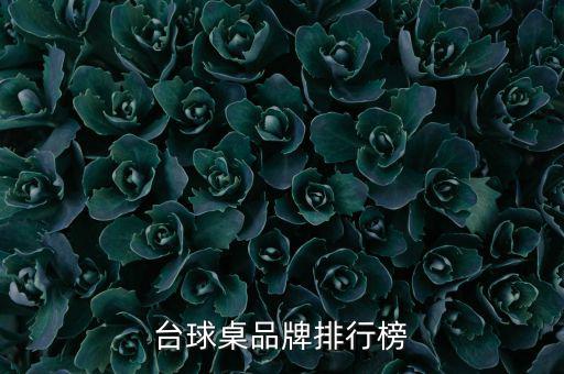 中國(guó)體育器材公司排名榜