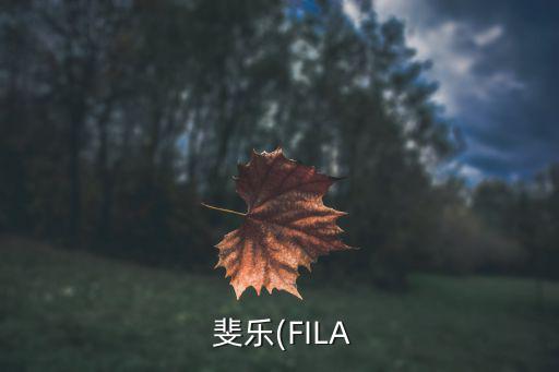 斐樂加盟條件,斐樂怎么加盟或者代理