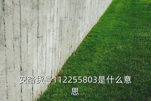 安踏貨號(hào)112255803是什么意思