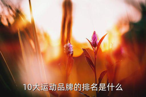 體育用品展有哪些品牌,國內運動品牌的體育用品有哪些