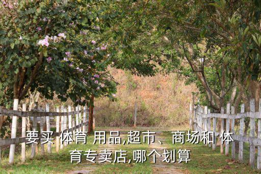要買 體育 用品,超市、商場和 體育專賣店,哪個(gè)劃算