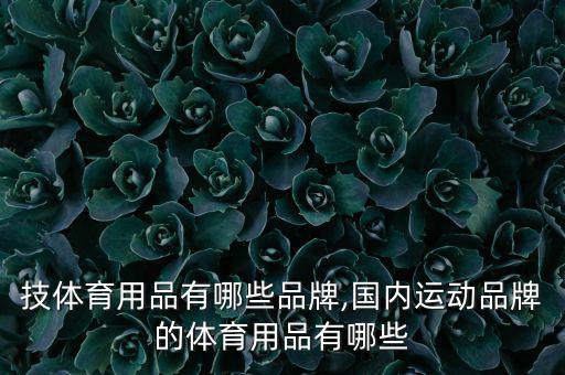 高科技體育用品有哪些品牌,國內(nèi)運(yùn)動品牌的體育用品有哪些