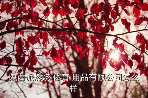 體育用品下料機怎么用,體育用品店經(jīng)營風險有哪些?