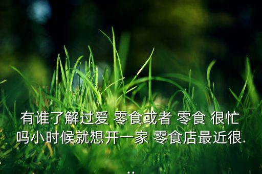 湖南零食很忙加盟費多少,老婆大人零食加盟官網(wǎng)