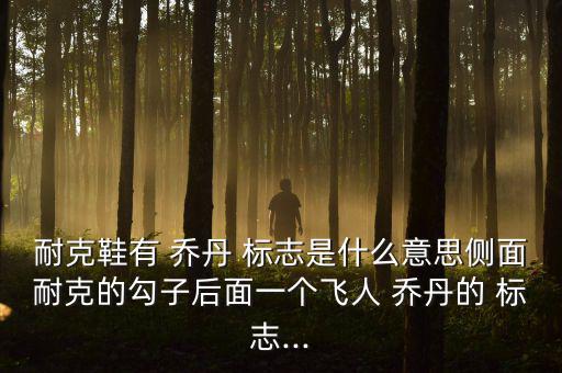 跟喬丹標志很像的運動品牌叫啥,喬丹運動分為兩個品牌