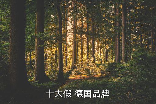 十大假 德國品牌