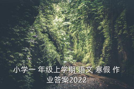 小學(xué)一年級(jí)語(yǔ)文寒假作業(yè)清單,一年級(jí)語(yǔ)文寒假作業(yè)的創(chuàng)意清單
