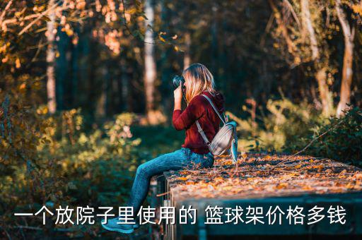 一個(gè)放院子里使用的 籃球架價(jià)格多錢