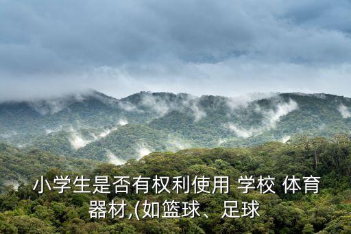 小學(xué)學(xué)校體育用品放哪里,學(xué)校設(shè)備被搶校長:首先是老師的錯
