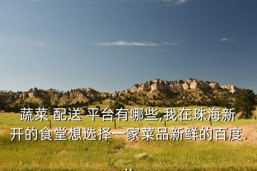 蔬菜 配送 平臺(tái)有哪些,我在珠海新開的食堂想選擇一家菜品新鮮的百度...