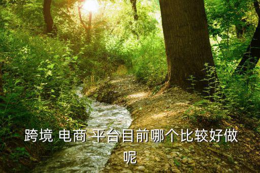 跨境電商在哪個(gè)平臺(tái)好一些,跨境電商哪個(gè)平臺(tái)比較好?