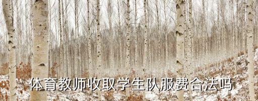 學校讓采購體育用品嗎怎么辦,學校采購一批體育用品,其中足球有30個