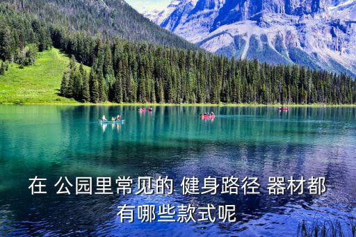 在 公園里常見(jiàn)的 健身路徑 器材都有哪些款式呢