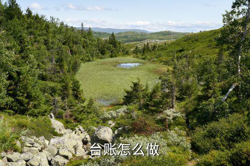 臺(tái)賬怎么做