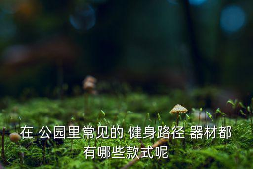 公園健身器材圖片欣賞,公園里的健身器材作文怎么寫