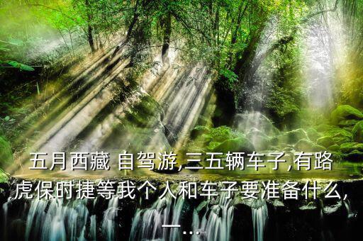 五月西藏 自駕游,三五輛車子,有路虎保時(shí)捷等我個(gè)人和車子要準(zhǔn)備什么,一...