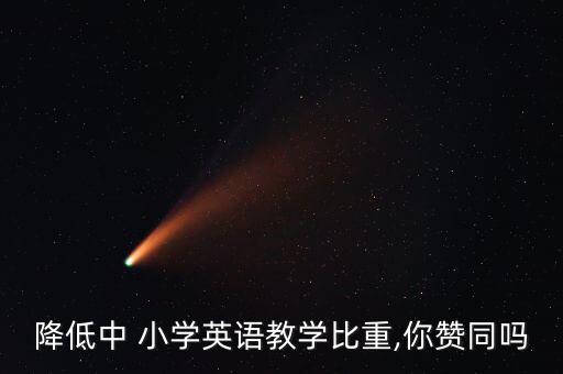 降低中 小學(xué)英語教學(xué)比重,你贊同嗎