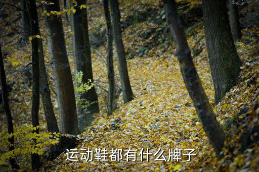  運動鞋都有什么牌子