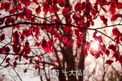 體育健身器材十大品牌排行榜,進(jìn)口健身器材10大品牌排行榜