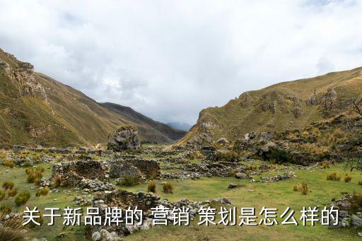 品牌營(yíng)銷(xiāo)策劃方案怎么做,農(nóng)夫山泉品牌營(yíng)銷(xiāo)策劃方案