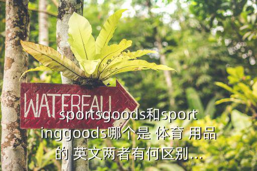 各種體育用品 英文怎么說,亨利收藏了很多體育用品用英文怎么說