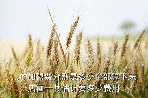 十大運(yùn)動(dòng)品牌折扣店加盟費(fèi)多少元,麥德菲品牌折扣店加盟費(fèi)