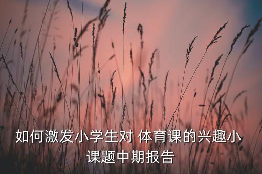 如何激發(fā)小學生對 體育課的興趣小 課題中期報告