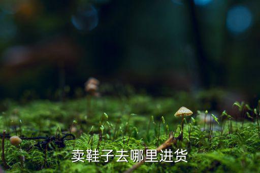 賣(mài)鞋子去哪里進(jìn)貨