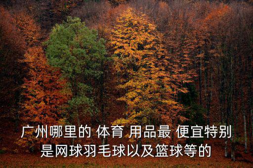 體育用品店哪個(gè)最便宜好用,淘寶上的體育用品店為什么便宜呢