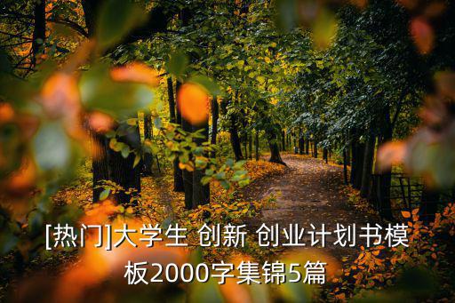[熱門]大學(xué)生 創(chuàng)新 創(chuàng)業(yè)計(jì)劃書模板2000字集錦5篇