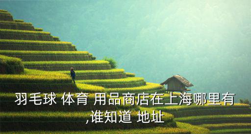 羽毛球 體育 用品商店在上海哪里有,誰(shuí)知道 地址