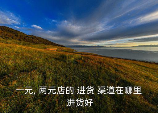 一元, 兩元店的 進貨 渠道在哪里 進貨好
