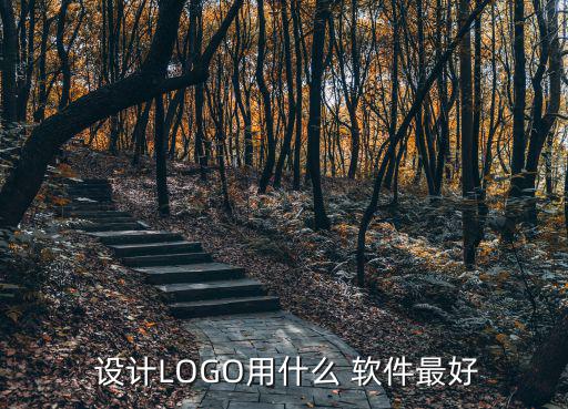  設(shè)計LOGO用什么 軟件最好