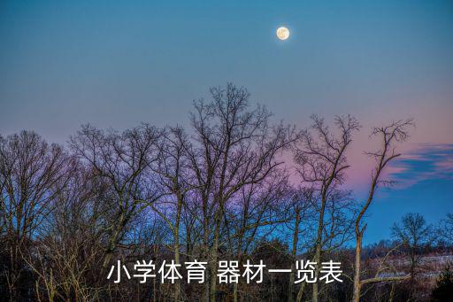 小學(xué)體育 器材一覽表