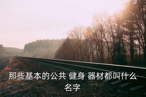 那些基本的公共 健身 器材都叫什么名字