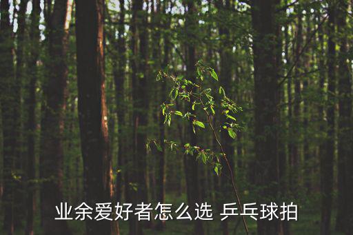 乒乓球器材采購(gòu)清單表