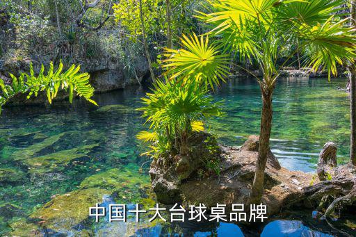 中國十大臺(tái)球桌品牌