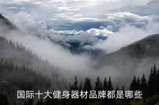 國(guó)際十大健身器材品牌都是哪些