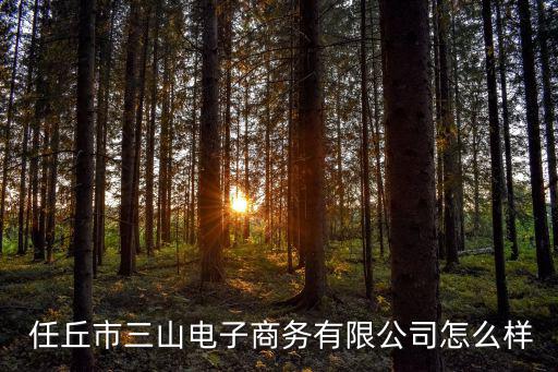 任丘市三山電子商務有限公司怎么樣