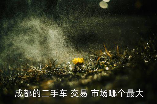 成都二手貨車交易市場