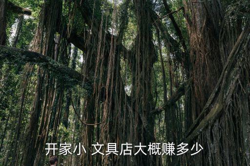 小學(xué)門口的文具店利潤(rùn)怎么樣,書店文具店利潤(rùn)怎么樣