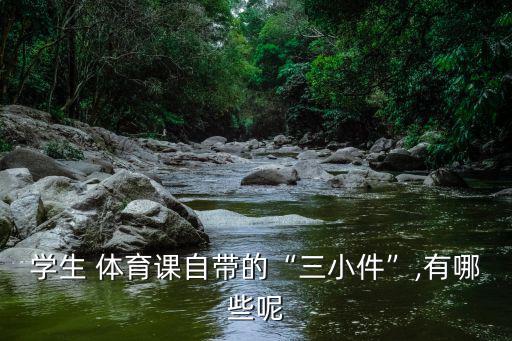 小學(xué)一年級(jí)體育器材清單,運(yùn)動(dòng)會(huì)體育器材清單